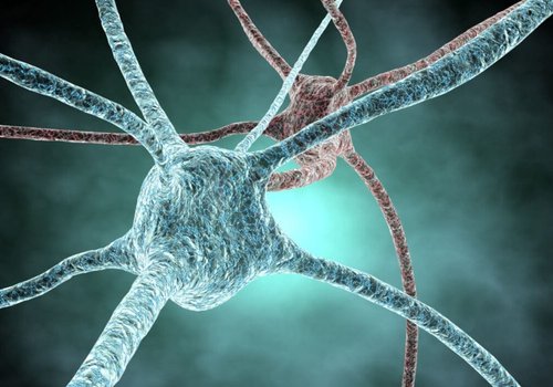 Ученым удалось создать синтетические биосовместимые нейроны